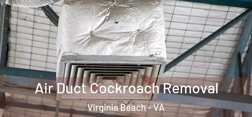 Air Duct Cockroach Removal Virginia Beach - VA