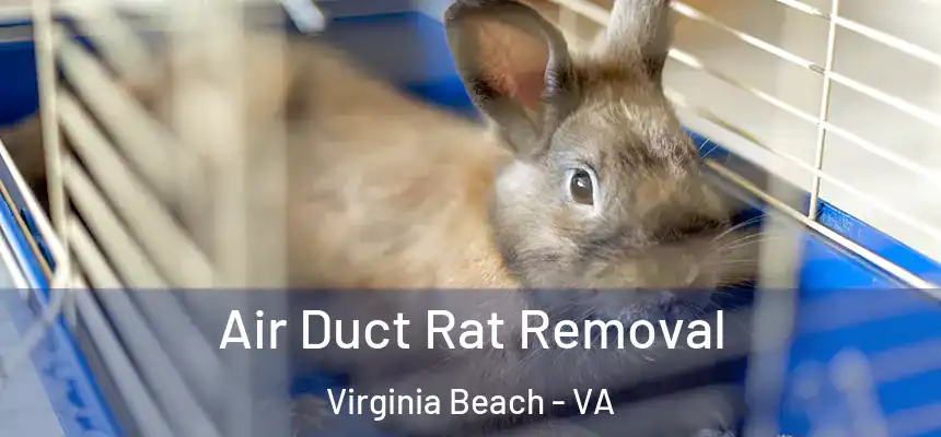 Air Duct Rat Removal Virginia Beach - VA