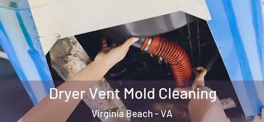 Dryer Vent Mold Cleaning Virginia Beach - VA