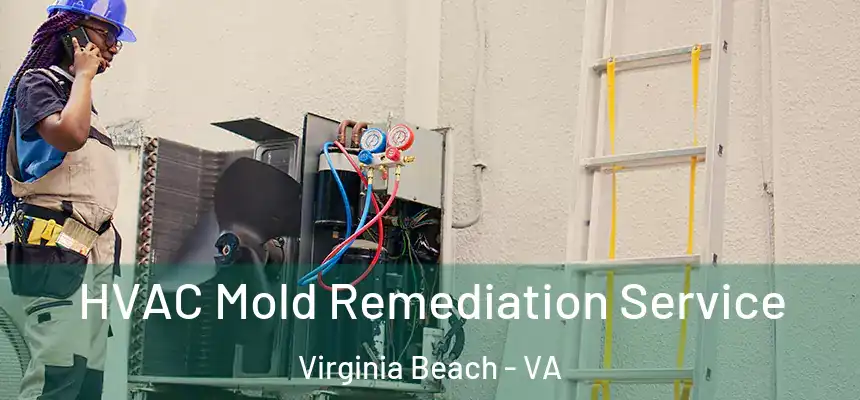 HVAC Mold Remediation Service Virginia Beach - VA
