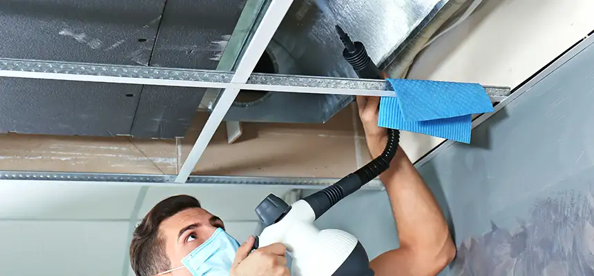 Our Air Duct Rodent Removal Services in Virginia Beach, VA