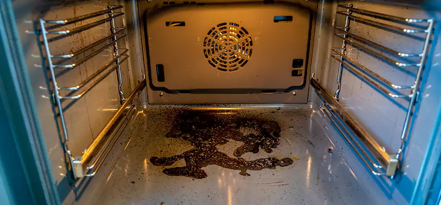 Our Dryer Vent Mold Cleaning Services in Virginia Beach, VA