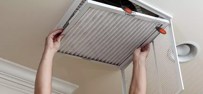 Our Insect Removal from Air Ducts Services in Virginia Beach, VA