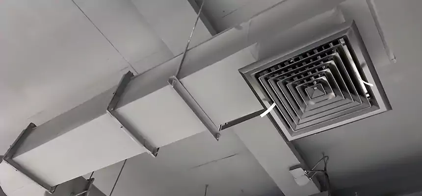 Our Pest Removal From Ducts Services in Virginia Beach, VA