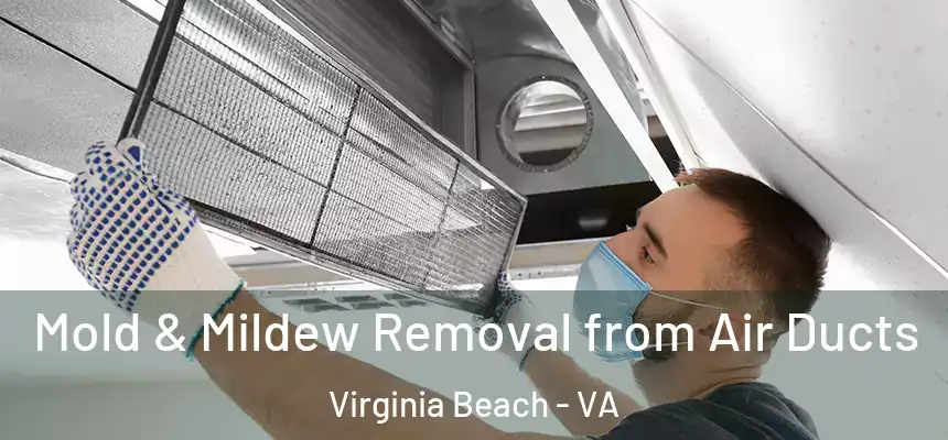 Mold & Mildew Removal from Air Ducts Virginia Beach - VA