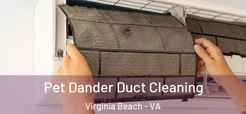 Pet Dander Duct Cleaning Virginia Beach - VA