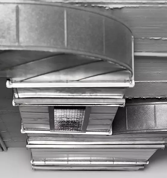 Professional Air Duct Pet Hair Removal in Virginia Beach, VA