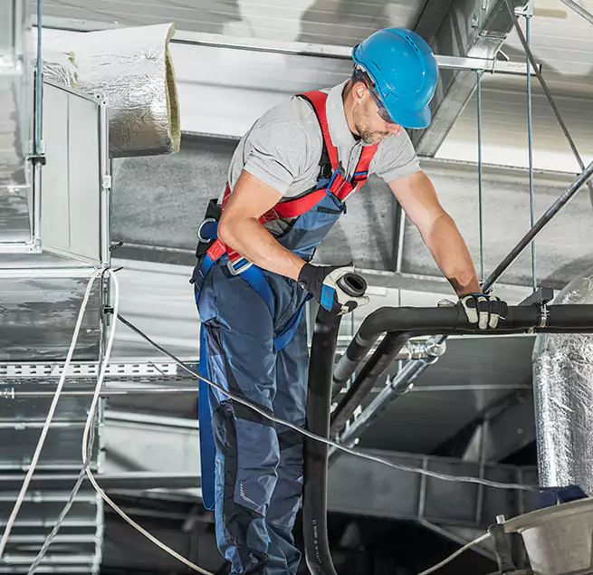 Why Homeowners & Businesses Trust Us in Virginia Beach, VA?