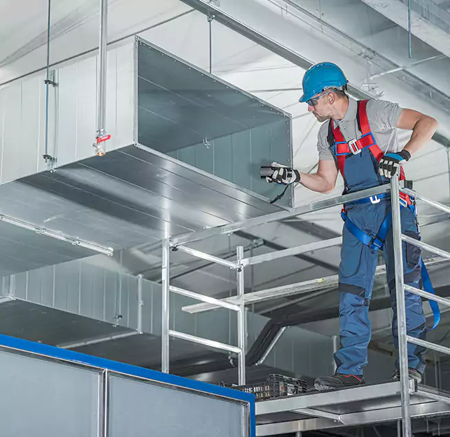 Why Homeowners & Businesses Trust Us in Virginia Beach, VA?