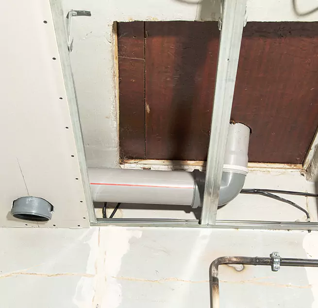 Why Homeowners & Businesses Trust Us in Virginia Beach, VA?