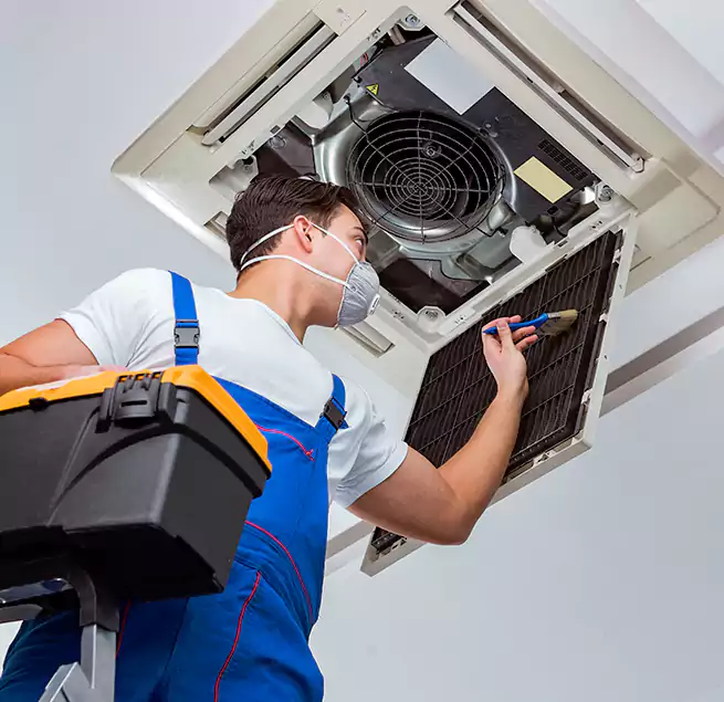 Why Homeowners & Businesses Trust Us in Virginia Beach, VA