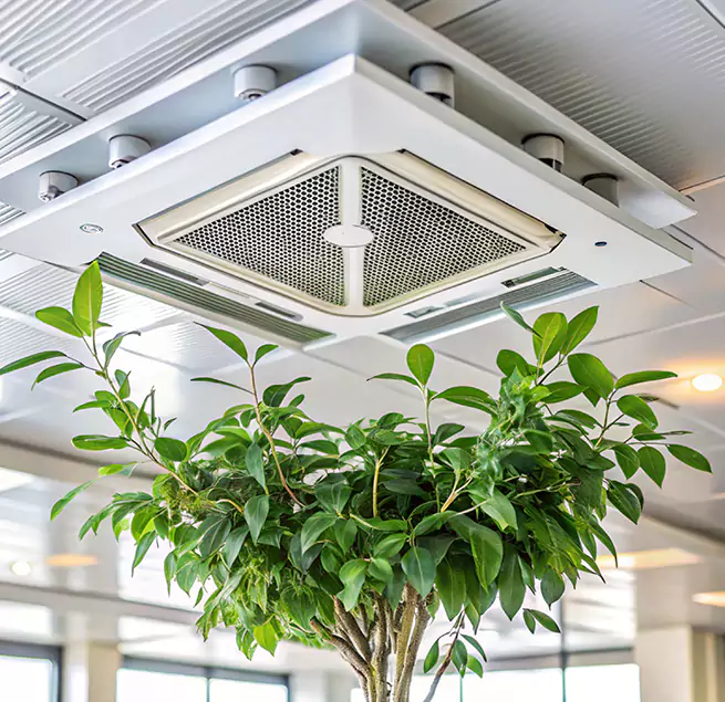 Why Homeowners & Businesses Trust Us in Virginia Beach, VA?