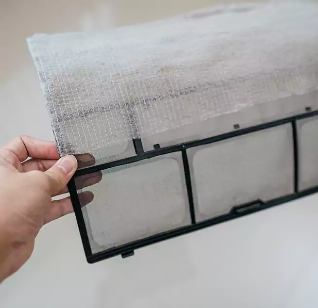 Why Homeowners & Businesses Trust Us in Virginia Beach, VA?