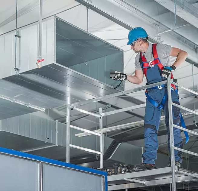 Why Homeowners & Businesses Trust Us in Virginia Beach, VA?