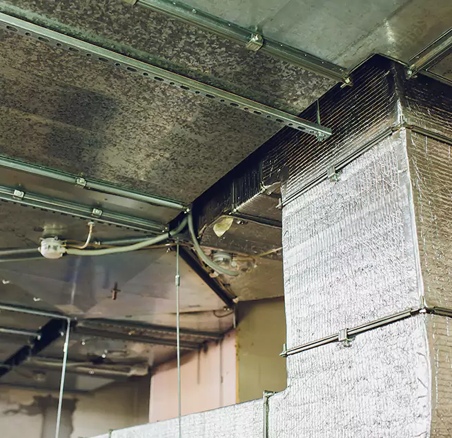 Why Homeowners & Businesses Trust Us in Virginia Beach, VA?