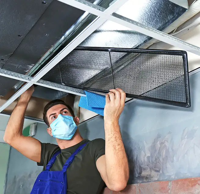 Why Homeowners & Businesses Trust Us in Virginia Beach, VA?