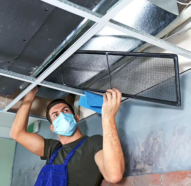 Why Homeowners & Businesses Trust Us in Virginia Beach, VA?